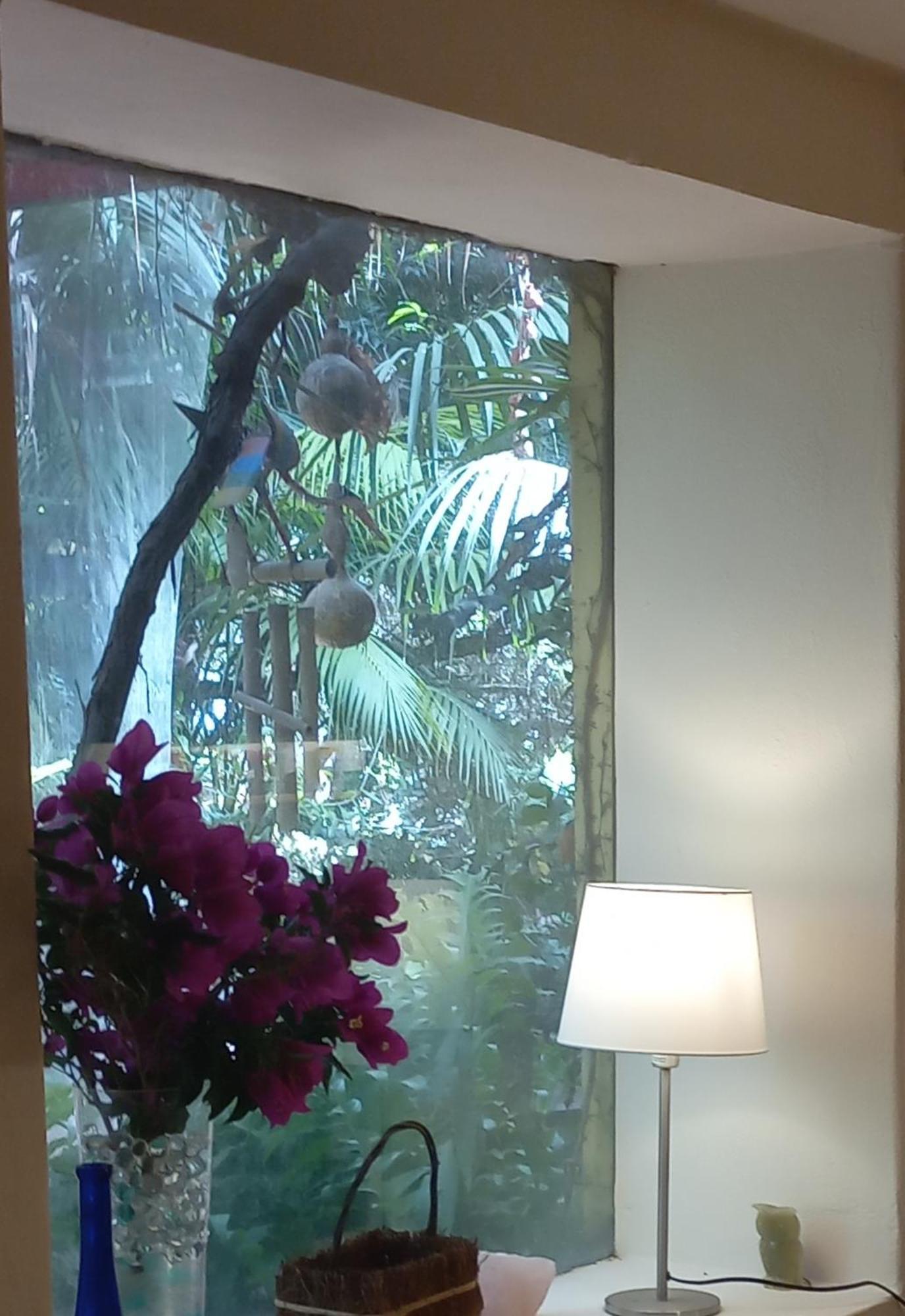 Vivelorural Casita Vintage, Santa Brigida Villa Eksteriør bilde